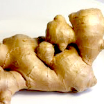 Ginger