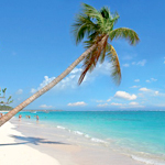 The Caribbean