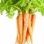Carrots