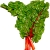 Swiss chard