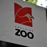 Adelaide Zoo