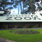 Auckland Zoo
